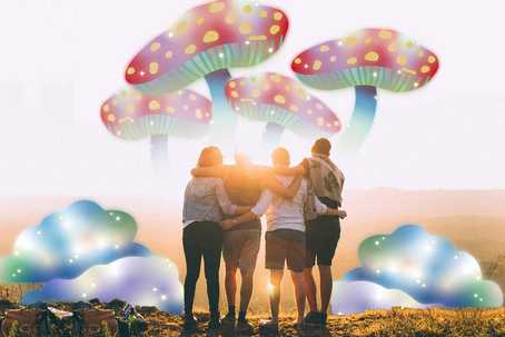A psychedelic retreat group stands together