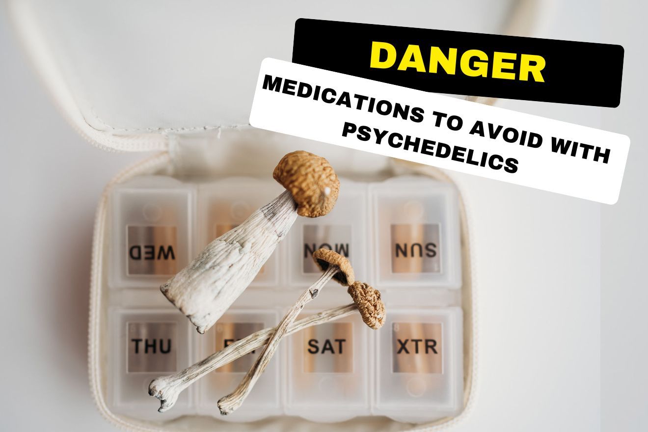 Psychedelic Therapy And Psychotropic Medications · Psychedelic Support