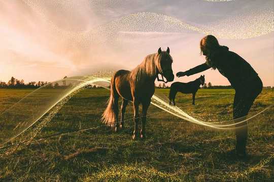 Equine therapy. The photo captures a serene rural scene at sunset, with a woman reaching out toward a light brown horse in a grassy field. The sky is warm with hues of soft pinks and oranges, casting a golden glow over the scene. A second, dark brown horse stands in the background, adding depth to the composition. Delicate, translucent waves filled with small, shimmering golden particles swirl around the woman and horse, creating a magical, dreamlike effect. The woman, dressed in dark clothing, appears silhouetted against the fading light, while the horse’s coat reflects the warm tones of the sunset. The overall composition feels peaceful and enchanted, blending natural beauty with a touch of fantasy.