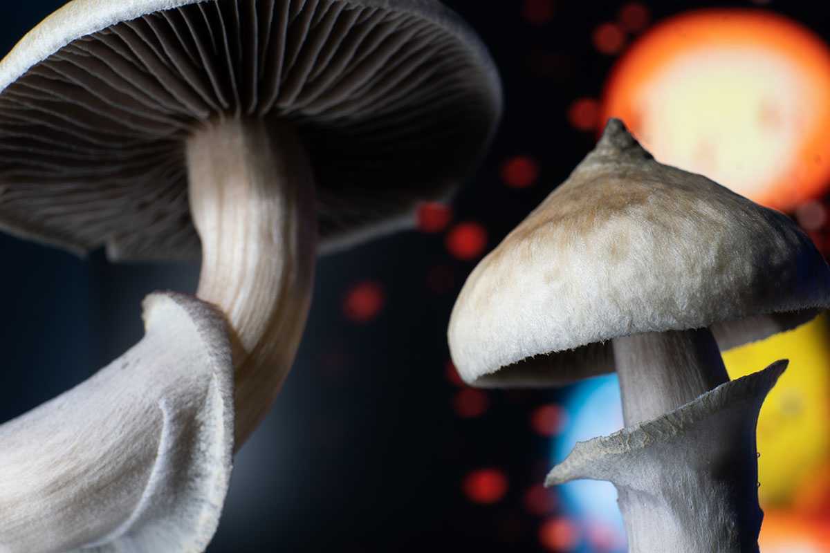 Featured Image: What Do We Know About Psilocybin Therapy for Anxiety?