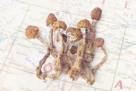 legal psilocybin mushrooms in Colorado