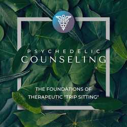 Featured Image: Psychedelic Counseling: The Foundations of “Trip Sitting”