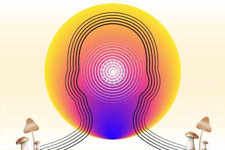 Mindful Microdosing. A pale yellow background with a white glow. In the centre is a circle with a colour-gradient from pinkish red at the bottom to golden yellow at the top. There is the shape of a person's head which the circle is encompassing. The shape is made up of 5 black outlines following the shape. At the throat part of the head which is also at the bottom of the circle is a purple glow. In the centre of the head is a glow-like circle made up with outlines of circles with increasing density to the centre. At each of the shoulder points of the person shape are cut-out images of 3 psilocybin mushrooms clustered together.