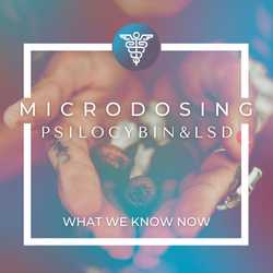 Featured Image: Microdosing Psilocybin & LSD: What We Know So Far