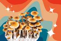 psychedelics for anxiety disorders