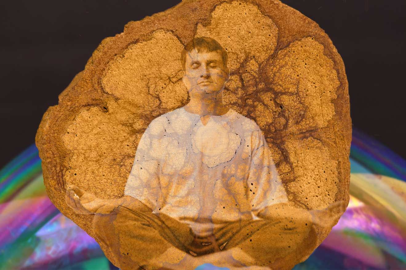 Can Ayahuasca. A colorful rainbow fractal in the baground, with a circle of Ayahuasca tree filling the image. There is a person overlaid over the image in a zen meditation pose with their eyes closed. They have short hair, and are wear a white shirt with tan pants.