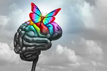 MDMA neurotoxicity. A black and white depiction of a brain against a cloudy sky, with a colorful butterfly perched on the brain.
