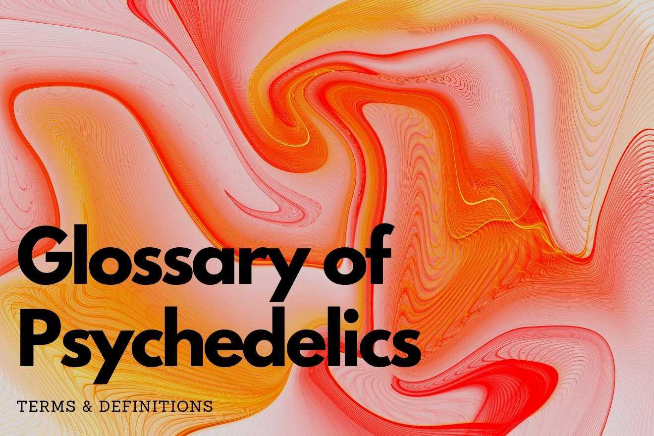 Featured Image: Psychedelic Terms and Definitions
