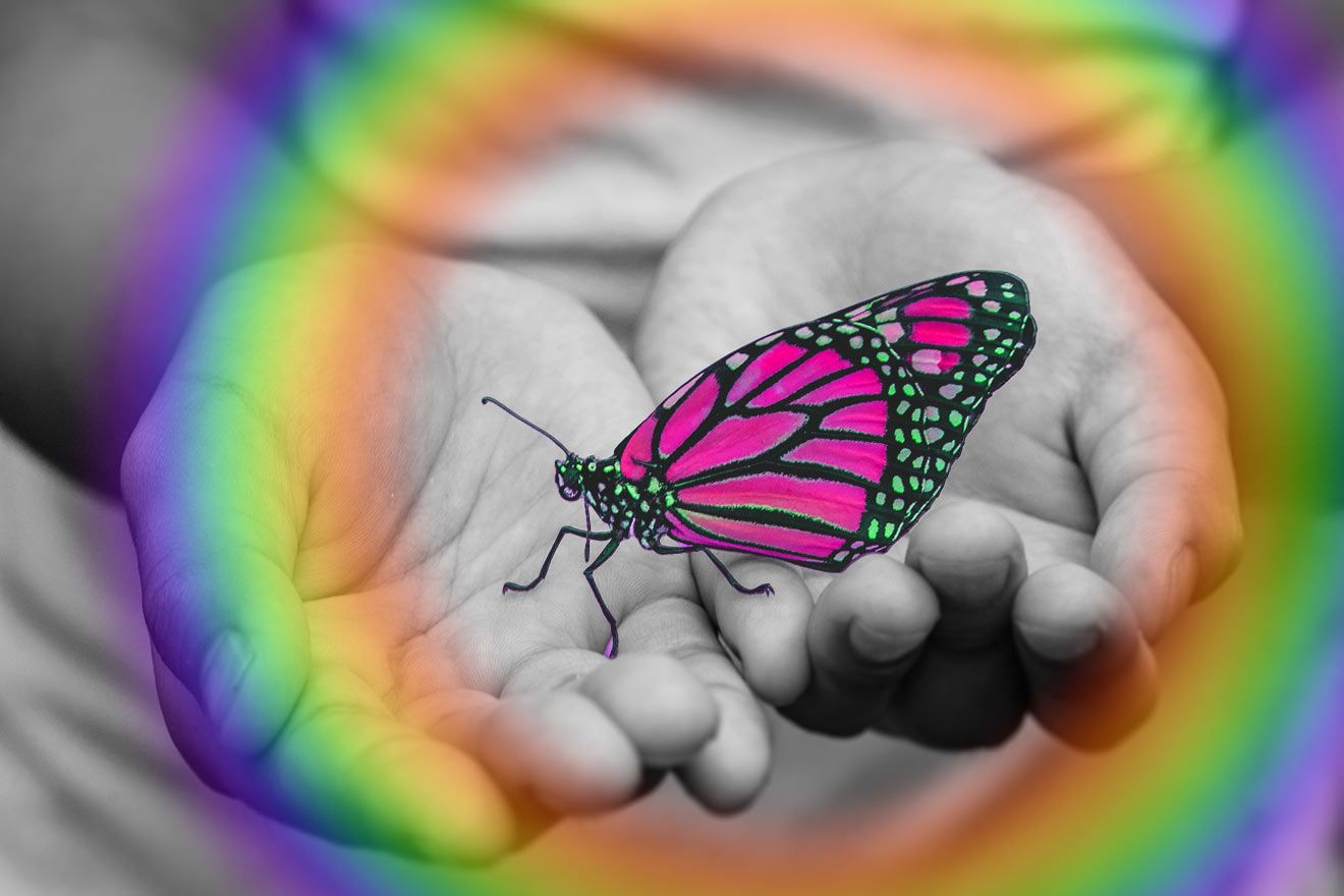 Healing the Inner Child with Ayahuasca. A greyscale photo of someone's hands next to each other, open in a receiving gesture, with a bright pink butterly perched on them. There is a soft circular rainbow around the butterly.
