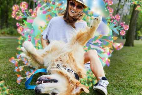 Psychedelics and Animals. A photo of a person siting on the grass in with a golden labrador lying upside down in front of them. There are dreamy colorful flowers behind the person.