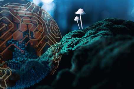 Psychedelic Professional Career. Image is of two mushrooms growing out of a mound of moss in a dark forest. Overlayed on the image is a globe shape with what appears to be patterns of circuitry.
