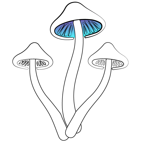 Psychedelic.Support mushrooms